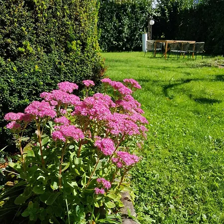 Ferienwohnung 'Dasbrenners' Groß-Umstadt Exterior foto